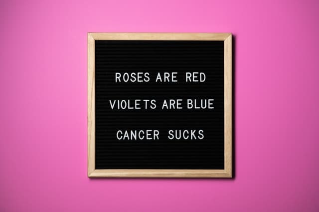 on a pink background, a framed black board that holds lettering.  It reads 'roses are red, violets are blue, cancer sucks.'
