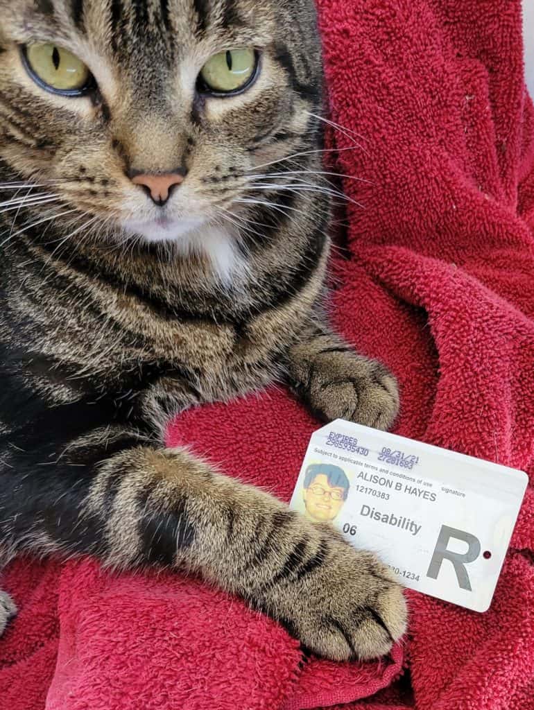 Nigel holds up my MTA reduced-fare card